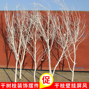 饰壁挂枯枝造景摆件屏风隔断树杈枯树树干diy手工 干花干树枝树装