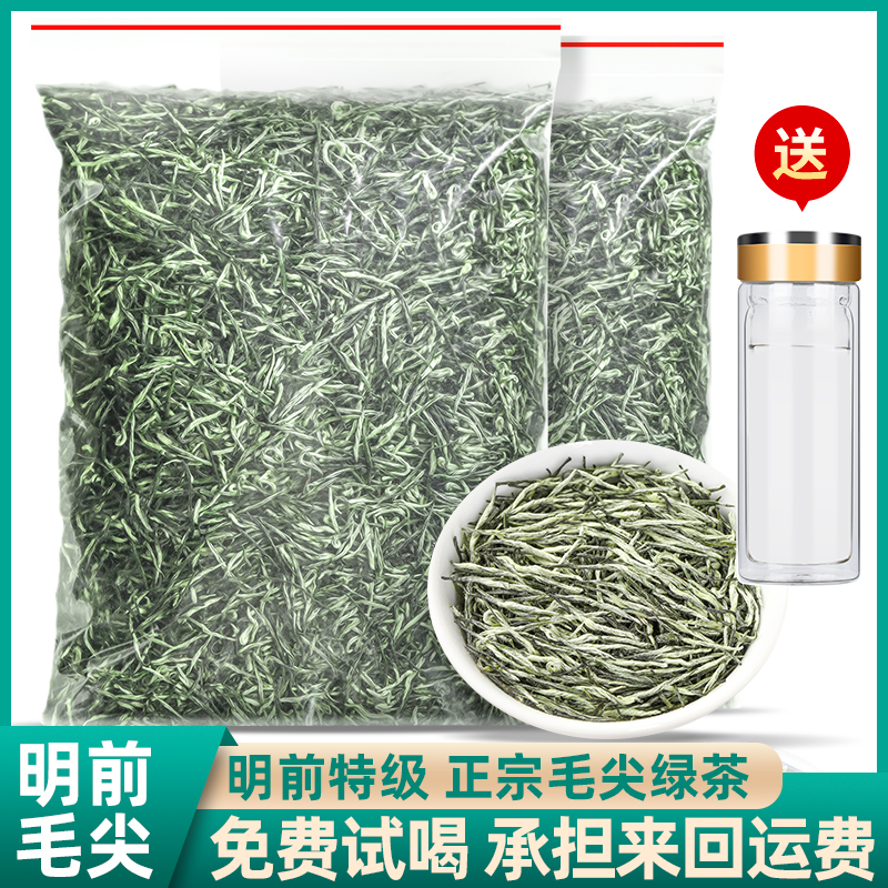 毛尖茶叶2025年新茶特级浓香耐泡型明前炒青绿茶嫩芽散装袋装500g
