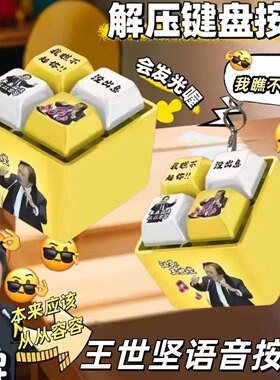 王世坚语音按键从从容容发音发光钥匙扣解压没出息按键趣味搞怪