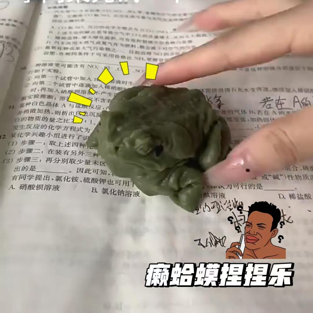 抖音同款癞蛤蟆捏捏乐自制手绘解压整蛊泄愤玩具仿真青蛙送人玩具