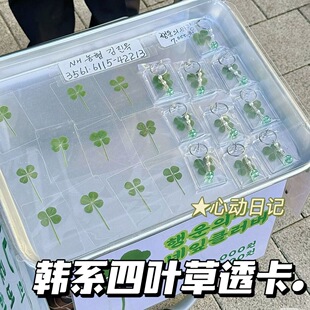 小红书同款塑封四叶草标本幸运四叶草真树叶清新简约风亚克力透卡