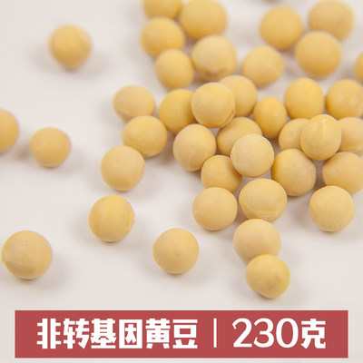 打豆浆黄豆230g大豆五谷杂粮原料