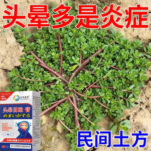 【趁早用】中老年头晕供血不足头昏眩晕站不稳耳石症晕头晕膏YN