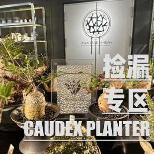 127潮流块根植物龙舌兰龟甲龙块根SRL花盆陶瓷NEIGHBORHOOD