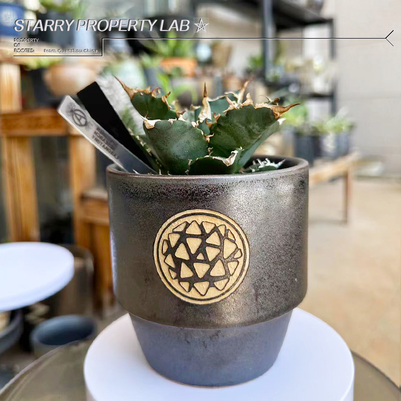 57曲底潮流块根植物花盆仙人球兜象足漆树惠比须笑大黑象牙宫