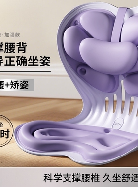 德国进口护腰坐垫办公室久坐不累