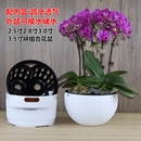 3.5寸大杯蝴蝶兰花专用拼组花盆小盆栽组合摆盆育苗钵控根定植篮