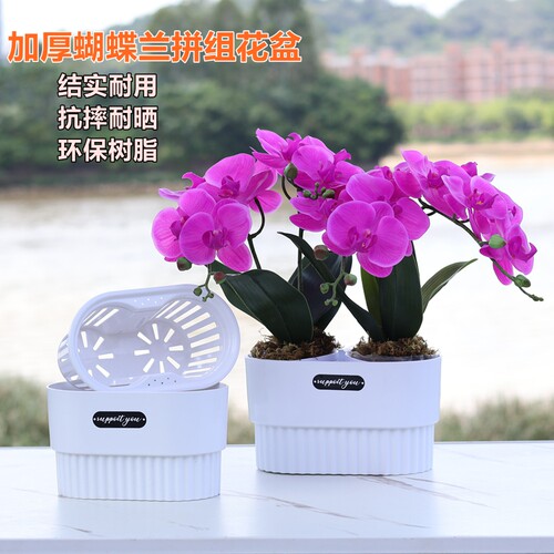 3.5寸大杯蝴蝶兰花专用拼组花盆小盆栽组合摆盆育苗钵控根定植篮