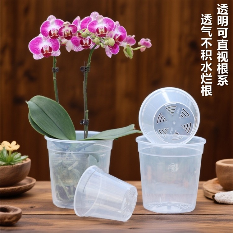 3.5寸4寸蝴蝶兰专用花盆石斛多肉种植兰花杯高透明通风透气育苗钵,鲜花速递/花卉仿真/绿植园艺,花盆,淘宝优惠券,粉丝福利购,淘宝优惠卷