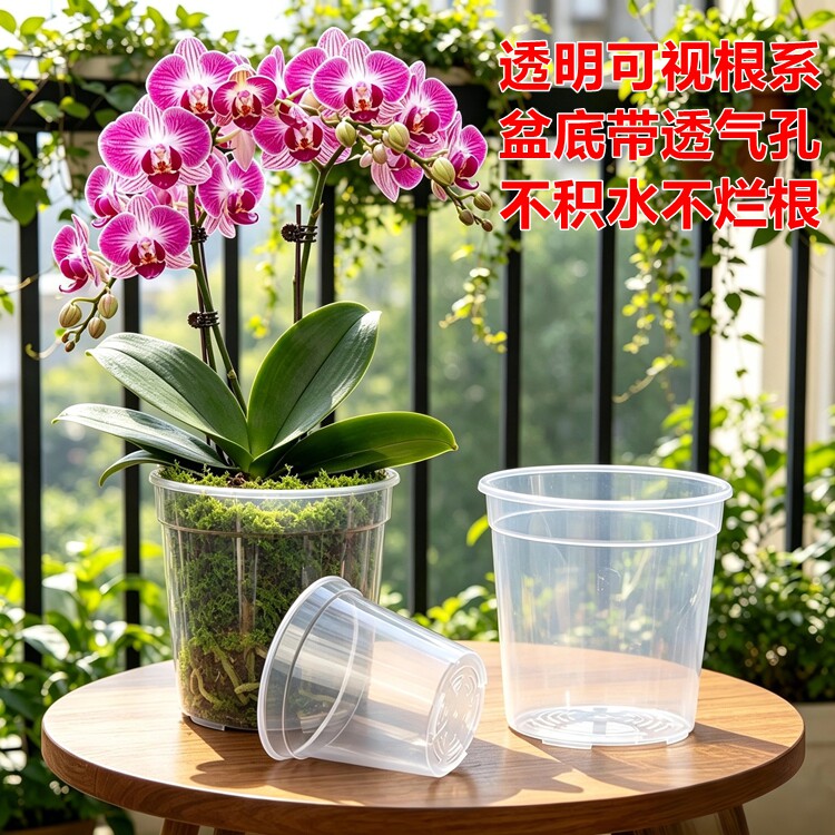 3.5寸4寸蝴蝶兰专用花盆石斛多肉种植兰花杯高透明通风透气育苗钵