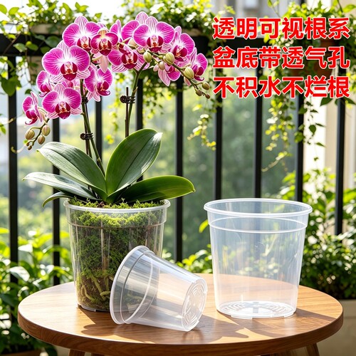 透气育苗钵杯蝴蝶兰种植专用花盆