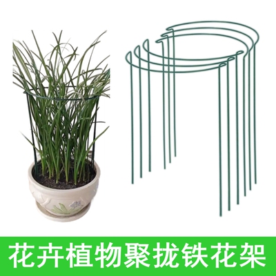 植物花支架防倒固定器金钱树龟背竹盆栽植物支撑杆爬藤圆形铁花架