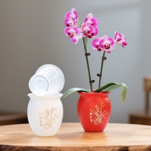 加厚耐用蝴蝶兰花盆绿萝香兰建兰小盆栽种植仿陶瓷控根花钵定植篮