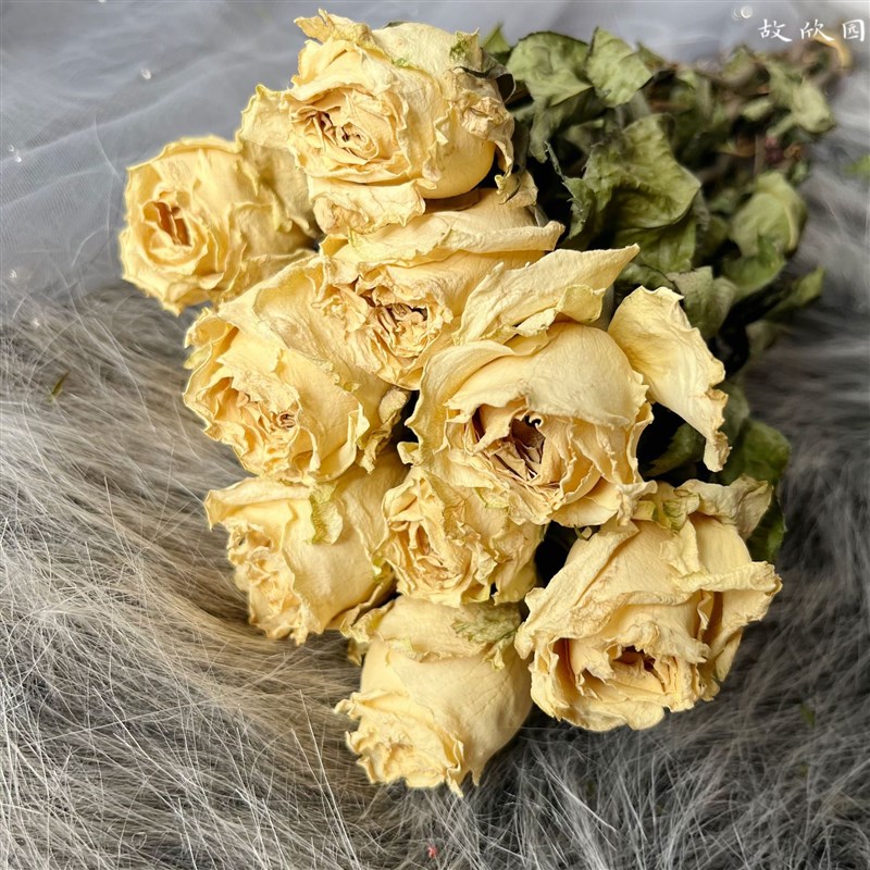 滴胶制品黛安娜玫瑰永生花干花大头玫瑰伴手礼干花iy材料包花材