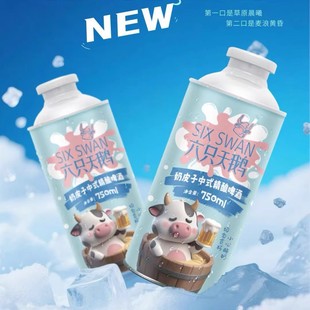 乌塔羌啤爆款乳酸菌风味 新疆奶皮子中式精酿啤酒750ml*4罐礼盒装