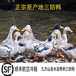 正宗广西融水三防香鸭农家散养清水鸭三防镇产地直供顺丰冷链包邮