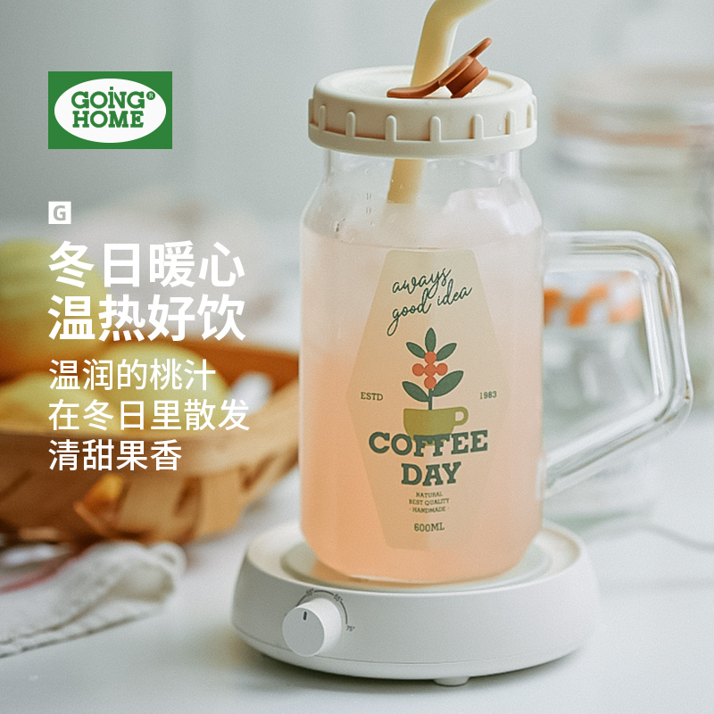 吸管杯高级感小众ins杯子高颜值家用高硼硅玻璃水杯带把手果汁杯