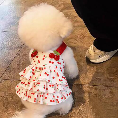 宠物狗狗裙子夏天薄款小型犬衣服泰迪比熊博美约克夏猫公主裙