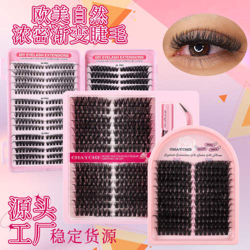 Gradient single cluster false eyelashes segmented D-curve