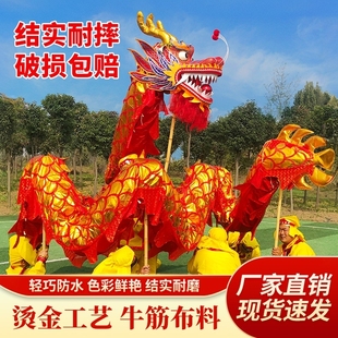 定制舞龙道具舞狮龙灯龙头比赛儿童学生幼儿运动会九节龙整套灯光