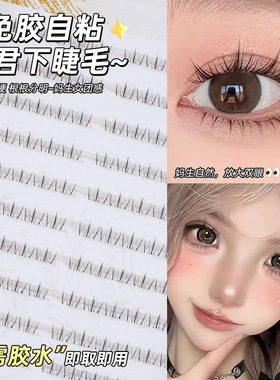 120簇大容量貂蝉昭君免胶下睫毛