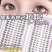 花洽短款 狐系10mm自然苏妲己免胶假睫毛斜飞大容量睫毛书眼睫毛