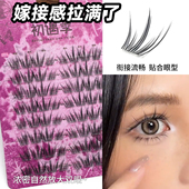 新款 嫁接感 幻蝶亚裔混血免胶超细超长14mm毛流上镜漫画假睫毛