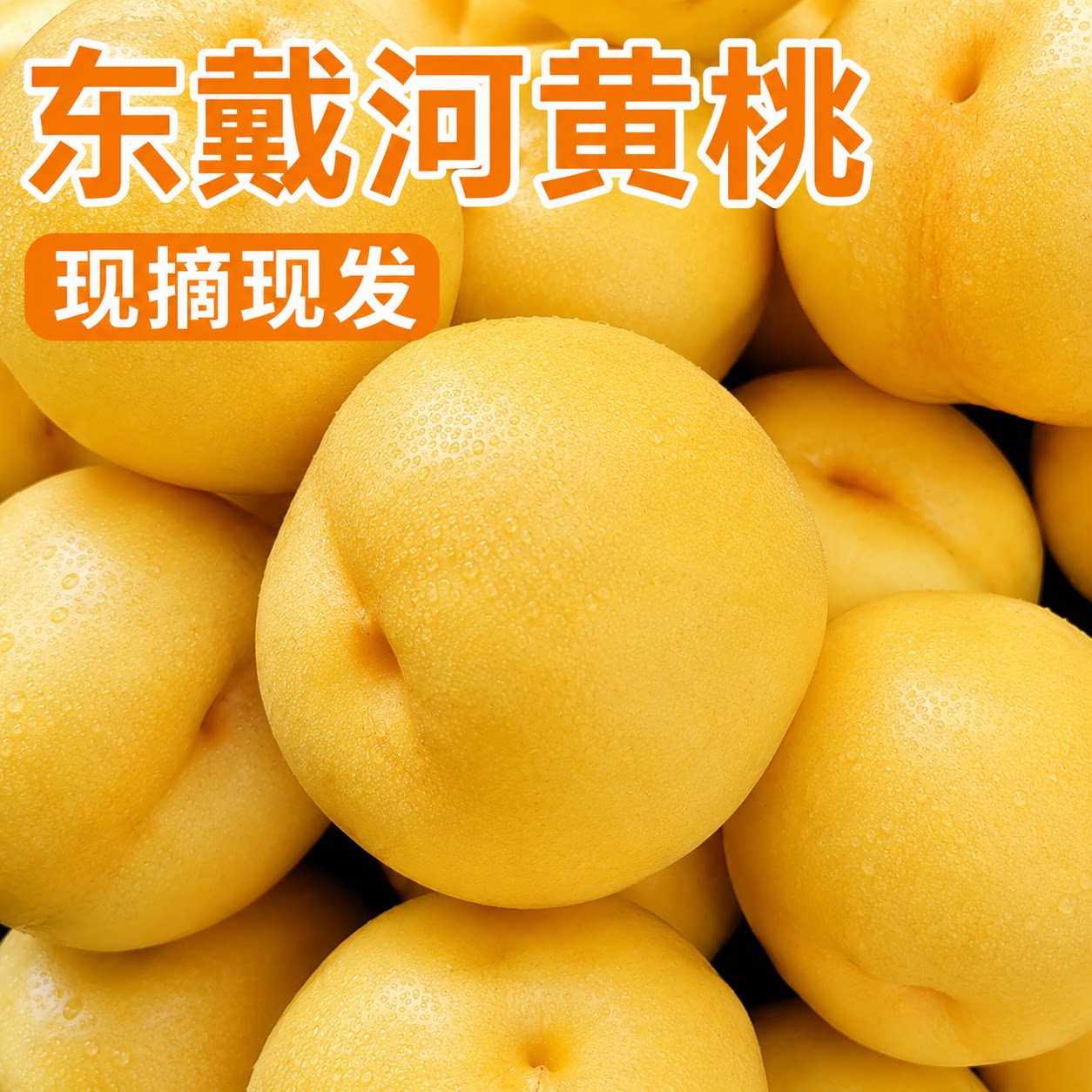 绥中东戴河黄桃香甜多汁五斤装