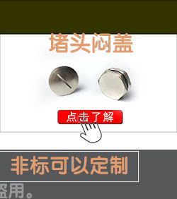金属闷盖 堵头M10M12M16M18M20M22M24M25M27M32M36M40M50M63圆型