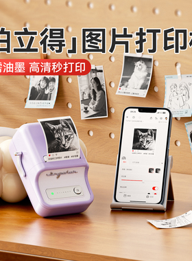 精臣B21Pro高清版照片打印机300dpi家用小型黑白照片相片爱豆小卡图片简笔画手账贴纸家用手持蓝牙图像打印机