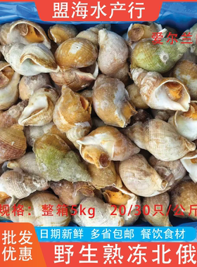 爱尔兰白螺整箱5kg商用餐饮食材