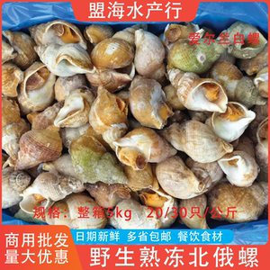爱尔兰白螺整箱5kg商用餐饮食材