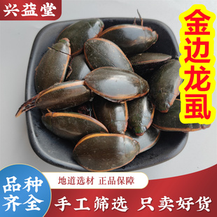 金边龙虱中药材500克正品水鳖虫射尿龟水蟑螂黑壳虫水龟子 可打粉