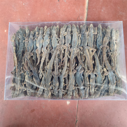 壁虎中药材天龙守宫壁虎干壁虎天龙干壁虎磨粉500克包邮正品保证