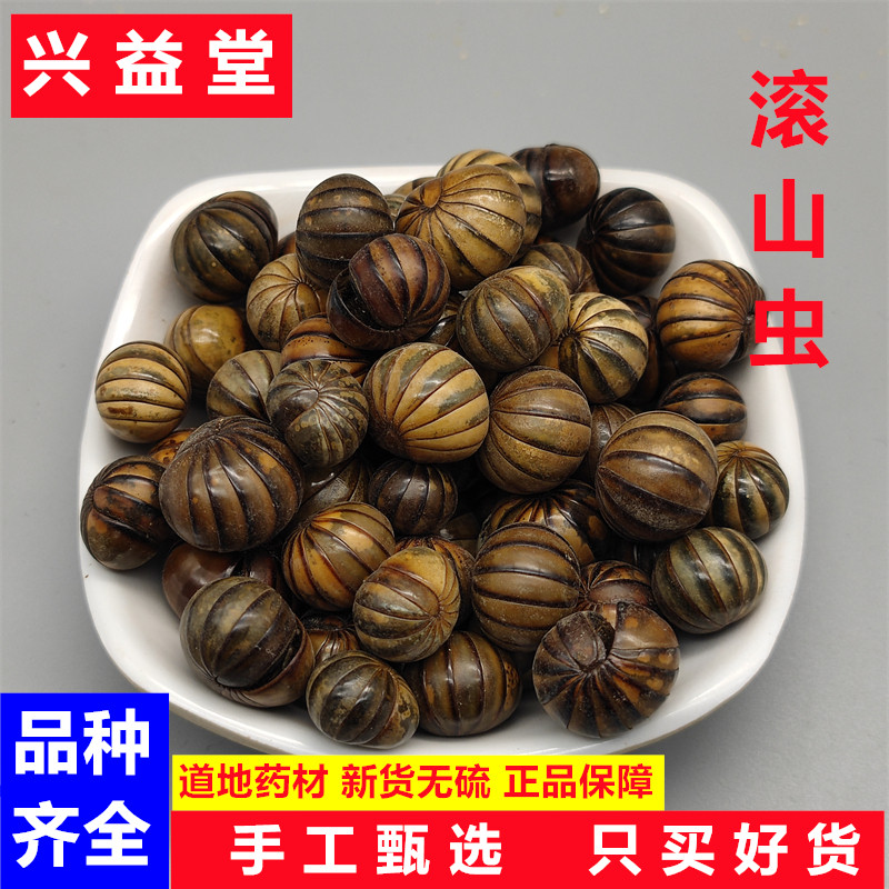 滚山虫中药材500克新货滚山虫 滚山珠 地罗汉 完整无碎 可打粉