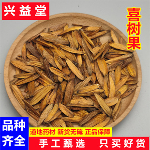 喜树果 中药材500克 喜果 天梓树水栗子千丈树果 喜树子籽 可打粉