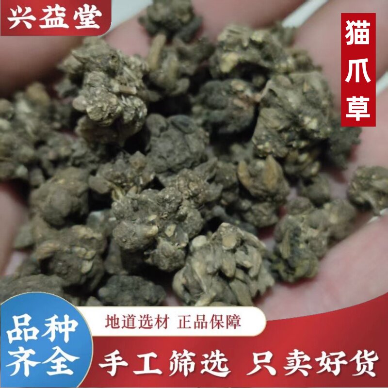 猫爪草干货野生水洗包邮新鲜正品