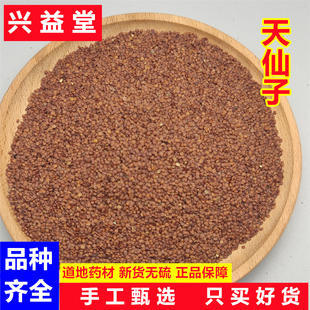 天仙子中药材500克南天仙子广天仙子水蓑衣大花水蓑衣籽 天仙子粉