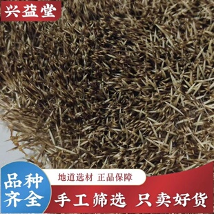 刺猬皮中药材整张新货炒刺猬皮仙人衣刺鼠皮毛刺球子皮炒刺猬皮粉