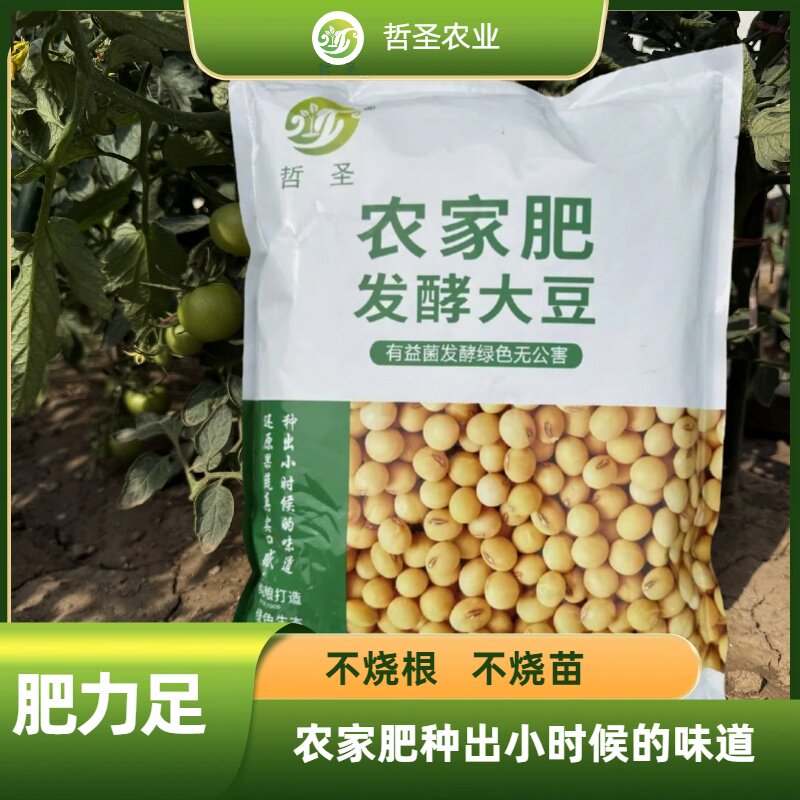 哲圣发酵大豆肥益生菌氨基酸高蛋白果树蔬菜花卉水肥家庭园艺菌肥