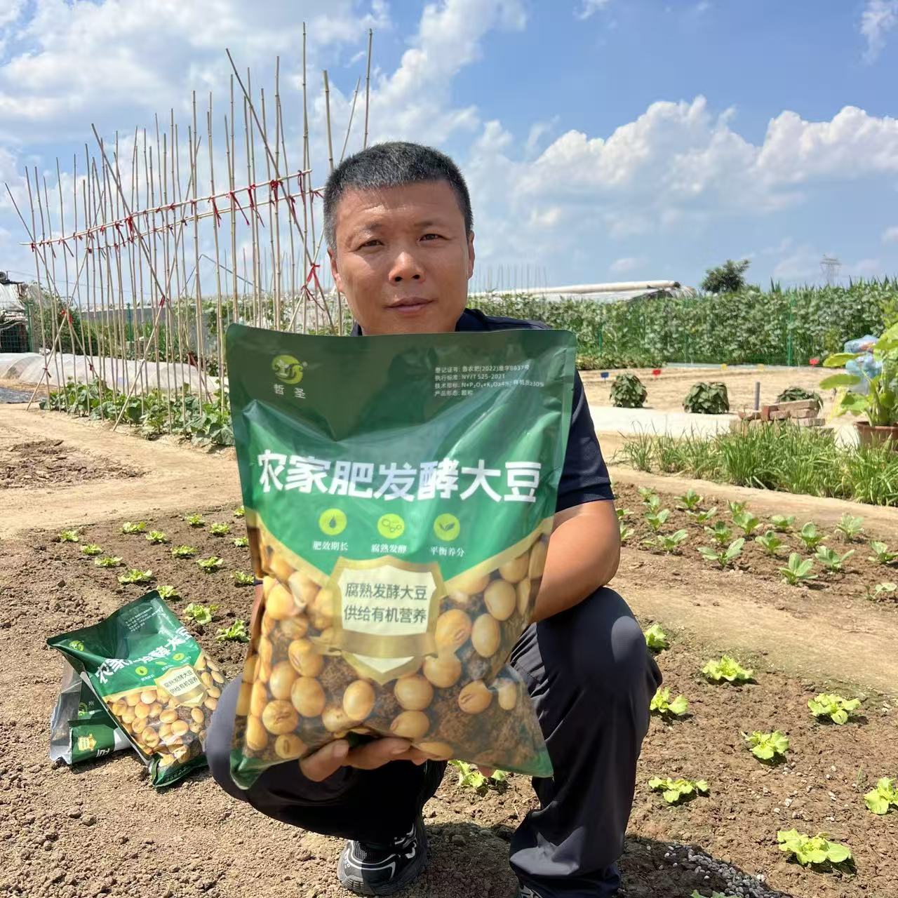 发酵大豆有机肥 腐熟大豆肥 果蔬菜园花卉底肥追肥通用有机肥