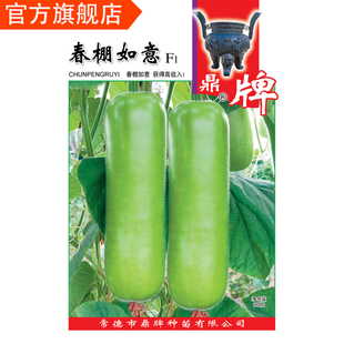 鼎牌春棚如意瓠瓜种子极早熟 耐低温  雌花早而多 蒲瓜种籽瓠子瓜