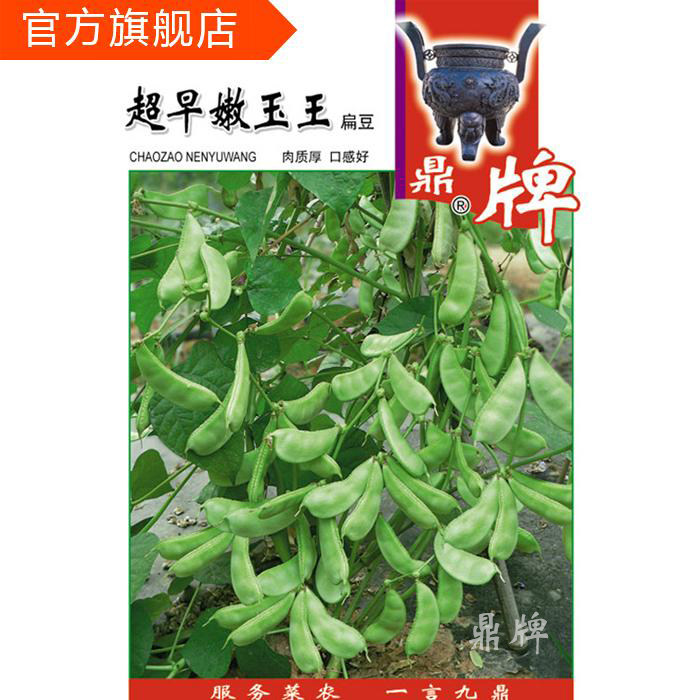 鼎牌嫩玉王 特早熟扁豆种子 嫩玉色 肉质厚纤维少 抢早上市更优势在类目 农用物资, 种子/种苗, 蔬菜种子中 - 来自Buy2taobao.com提供专业的淘宝代购服务