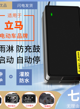 适用立马防水电动车电瓶车充电器48V60V72V12AH20AH两孔3针公插头