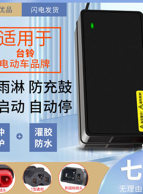 防水适用台铃电动车电瓶充电器48V12AH60V20AH72V3A智能充电器