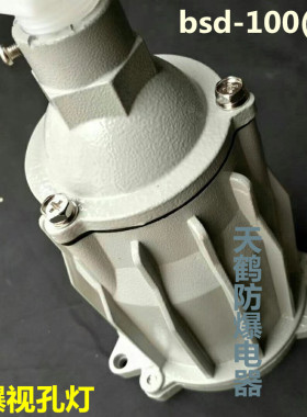 防爆视孔灯/BSD-100/防爆射灯 防爆灯 照射灯 射灯