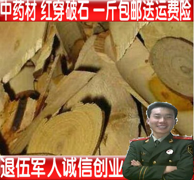 野生穿破石中药材