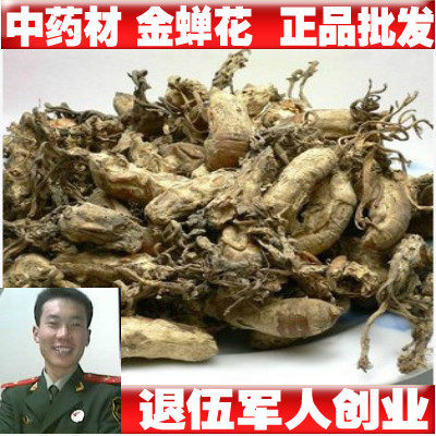 中药材 金蝉花 土蝉花 蝉菌 蝉蛹草 蛹茸 虫花 同仁堂品质 500克