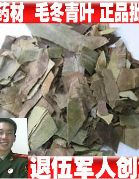 中药材毛冬青叶 毛冬青茶500克1件包邮另有四季青小叶冬青/一口血