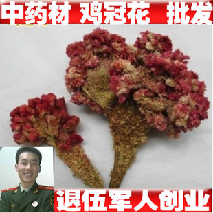 中药材鸡冠花250克 红鸡冠花 自然晒干另有白色鸡冠花250克包邮